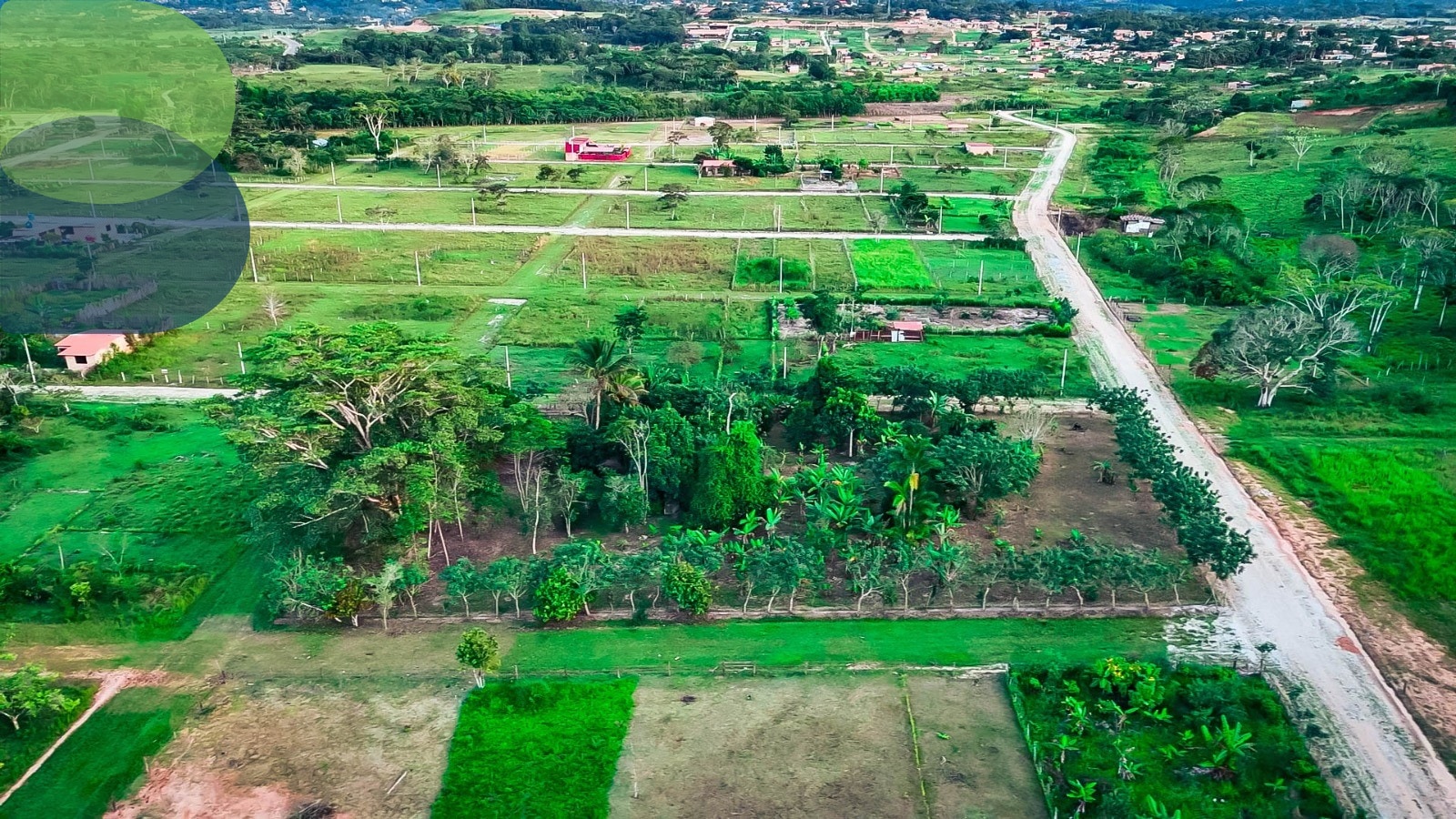 Santa Anita · foto 4